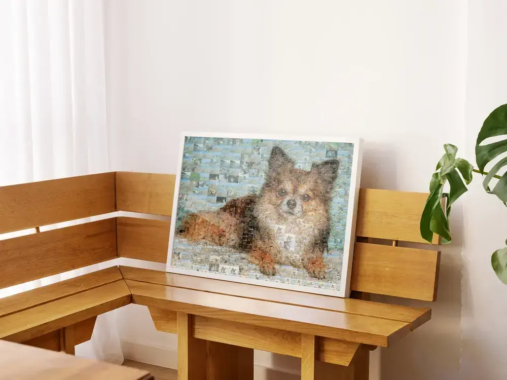 Mosaïque photo d’un petit chien dans un cadre blanc, posée sur une banquette d’angle en bois près d’une plante