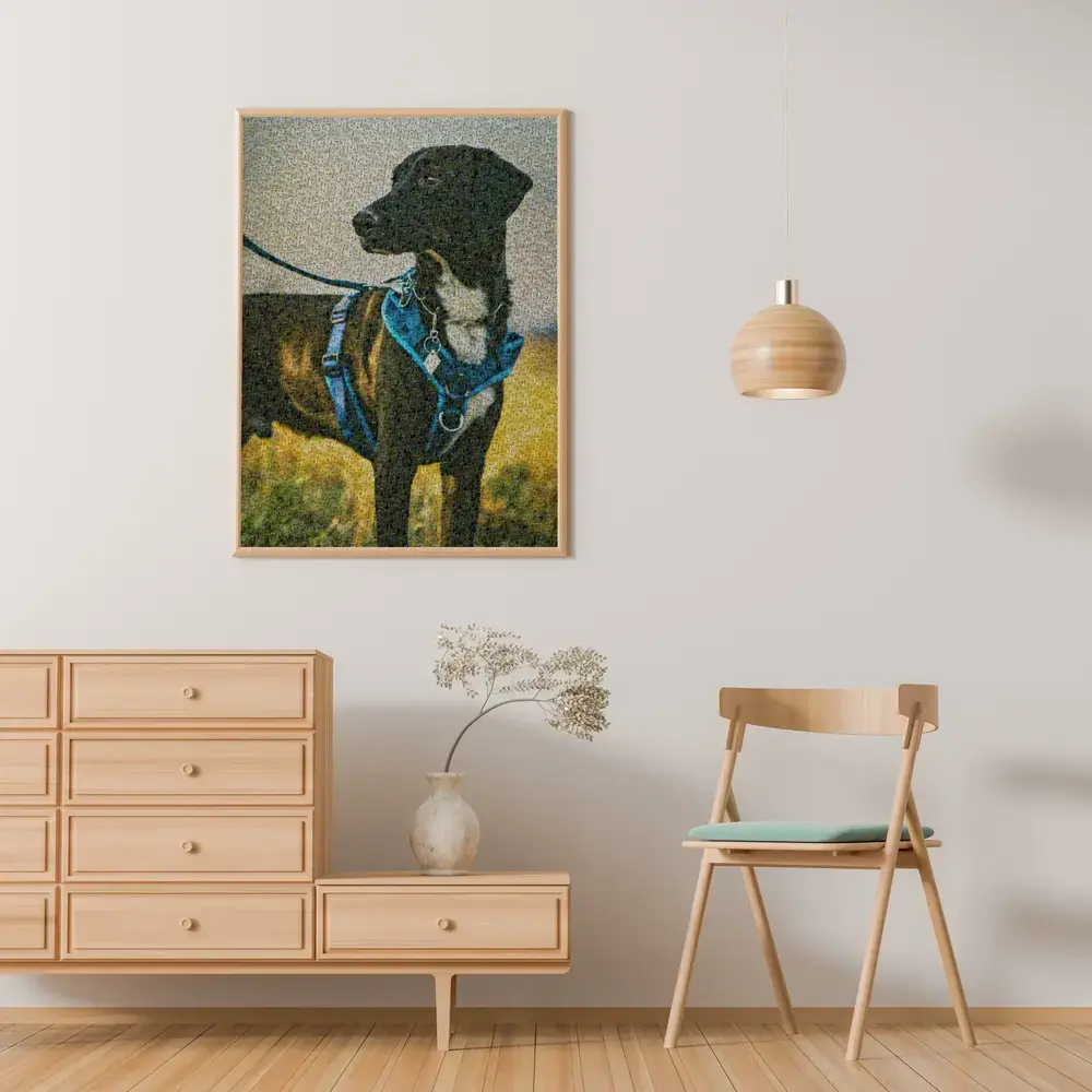 Mosaïque photo d’un chien noir au harnais bleu, encadrée en bois au mur au-dessus d’une commode