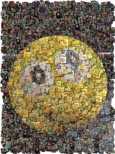 Customer Photo by Elke for Review Photo Mosaic [Online] as download
